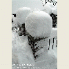NYC Snow Storm | NYC blizzard | Noreaster 2011