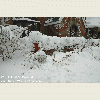 NYC Snow Storm | NYC blizzard | Noreaster 2011