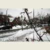 NYC Ice Storm 2011