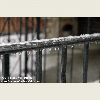 NYC Ice Storm 2011