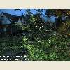 Queens, NY tornado aftermath September 2010