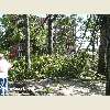 Queens, NY tornado aftermath September 2010