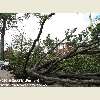 Queens, NY tornado aftermath September 2010