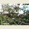 Queens, NY tornado aftermath September 2010