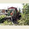 Queens, NY tornado aftermath September 2010