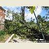 Queens, NY tornado aftermath September 2010